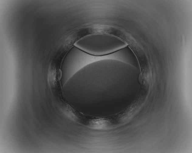 X0000116480219200912161258