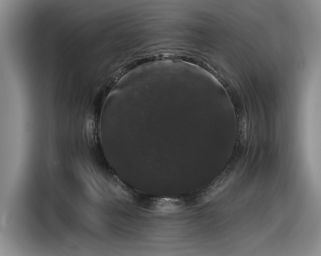 X0000116480222200912161258