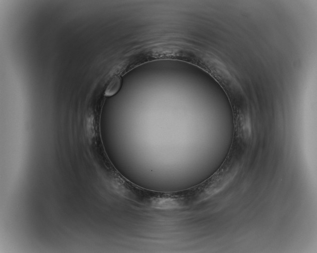 X0000116480224200912161258