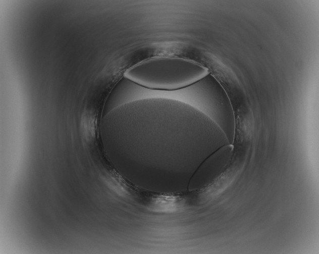 X0000116480227200912161258