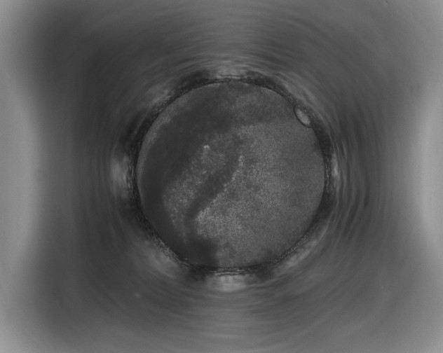 X0000116480228200912161258