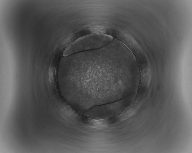 X0000116480229200912161258