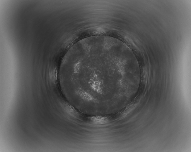 X0000116480230200912161258