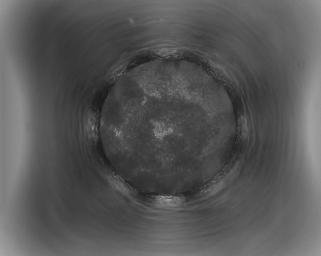 X0000116480234200912161258