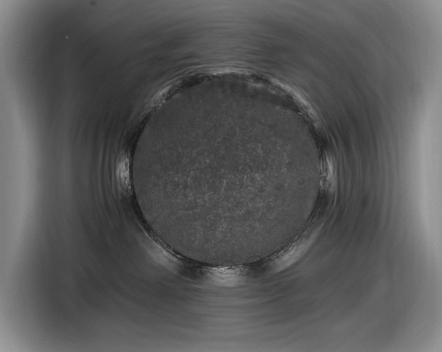 X0000116480238200912161258