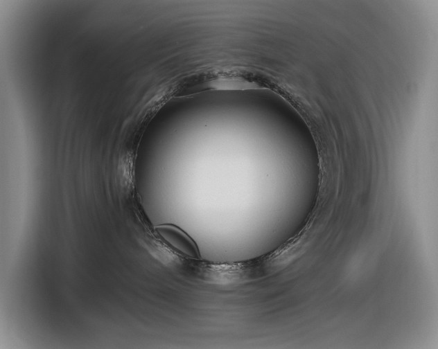 X0000116480240200912161258