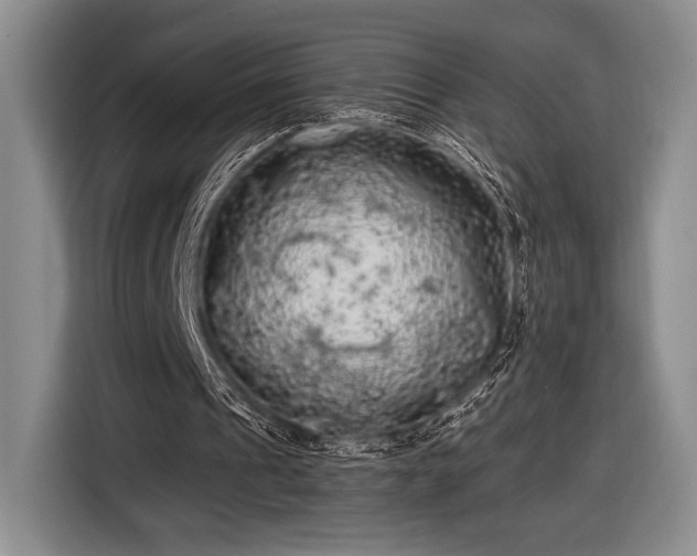 X0000116480241200912161258