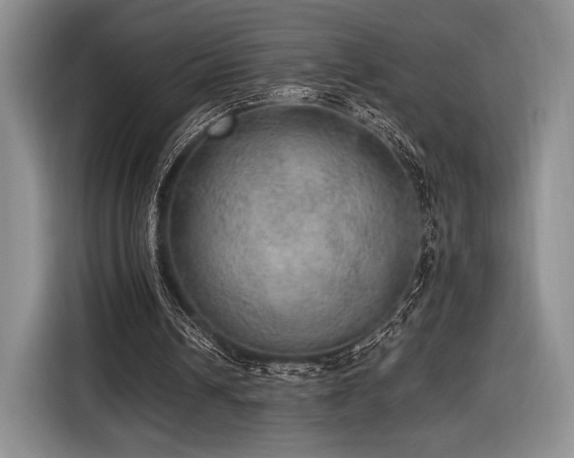 X0000116480242200912161258