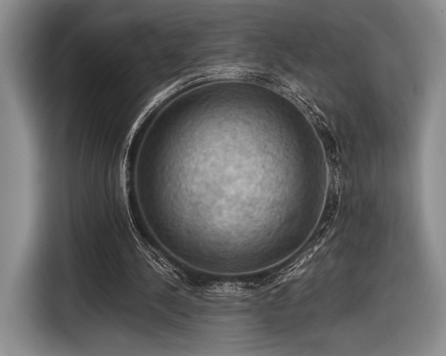 X0000116480244200912161258