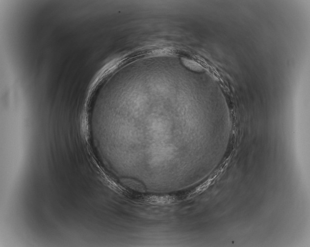 X0000116480245200912161258