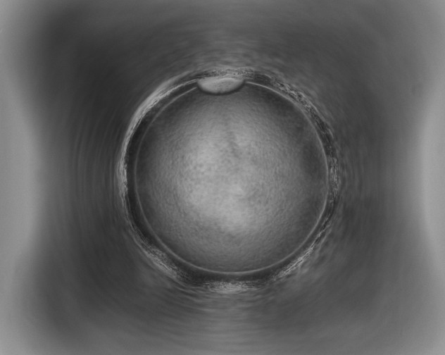 X0000116480246200912161258