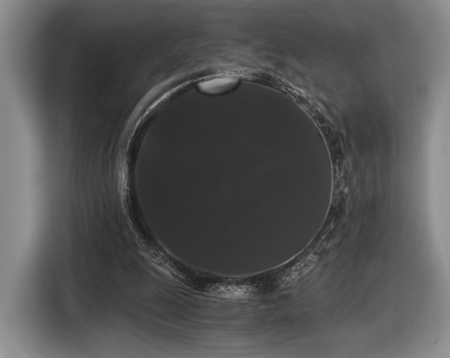 X0000116480247200912161258