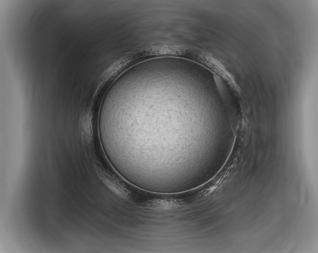 X0000116480250200912161258