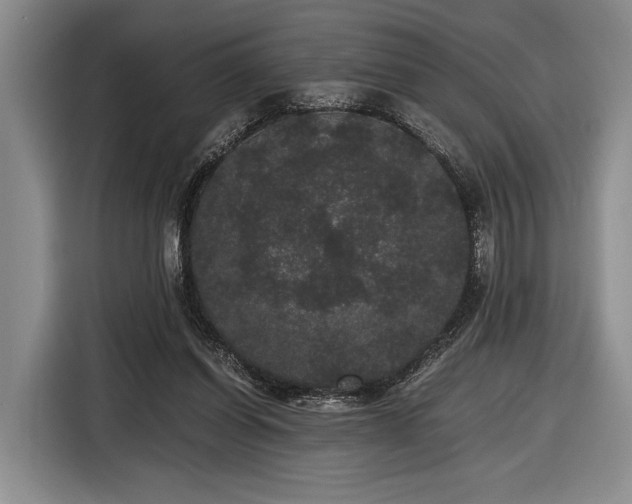 X0000116480254200912161258