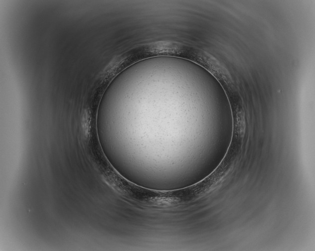 X0000116480255200912161258