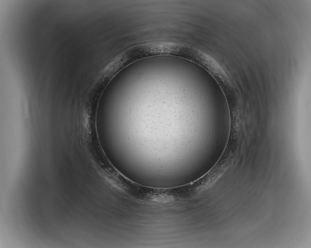 X0000116480258200912161258