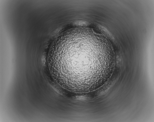 X0000116480259200912161258