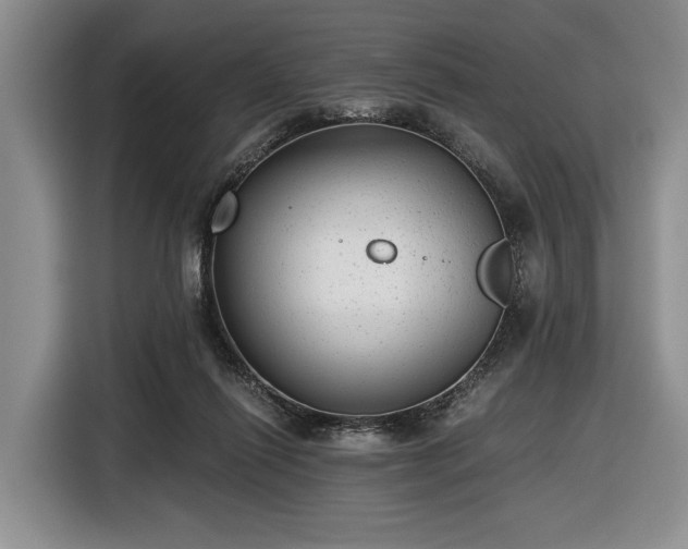 X0000116480262200912161258