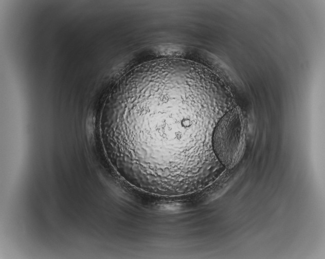 X0000116480263200912161258