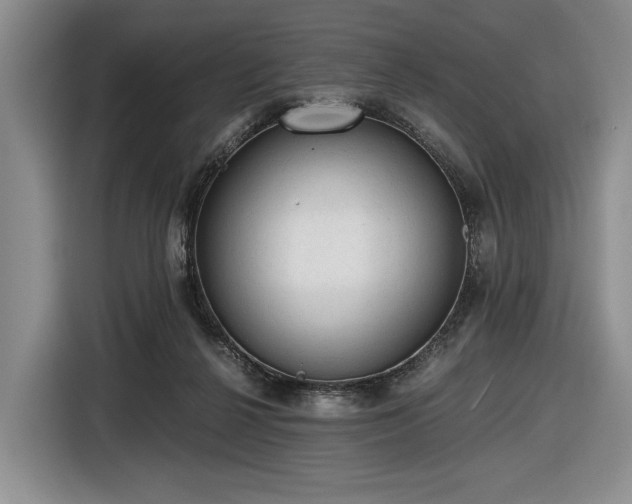 X0000116480264200912161258