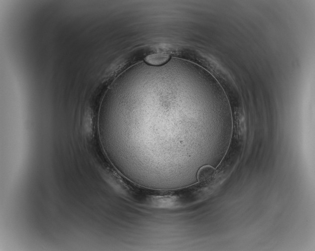 X0000116480266200912161258