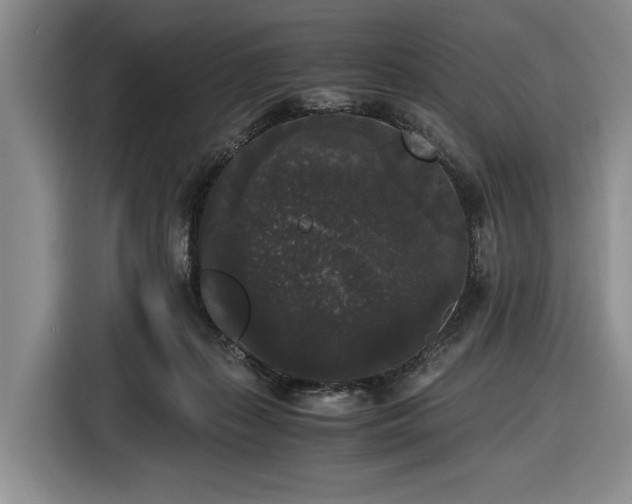 X0000116480267200912161258