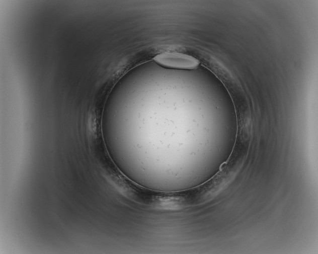 X0000116480268200912161258