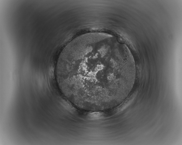 X0000116480269200912161258