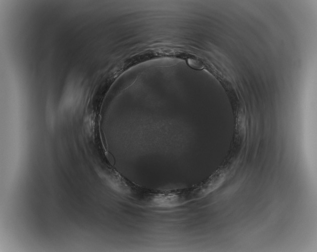 X0000116480271200912161258