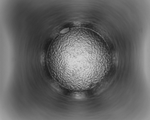 X0000116480275200912161258