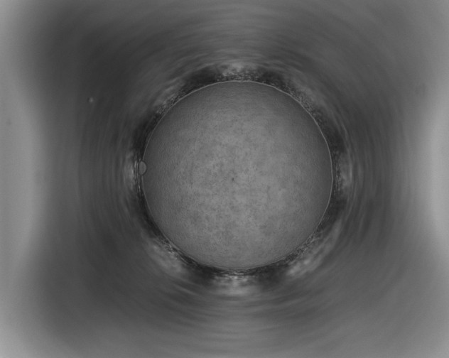 X0000116480276200912161258