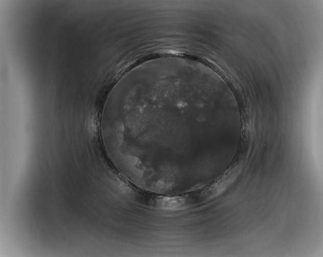 X0000116480277200912161258