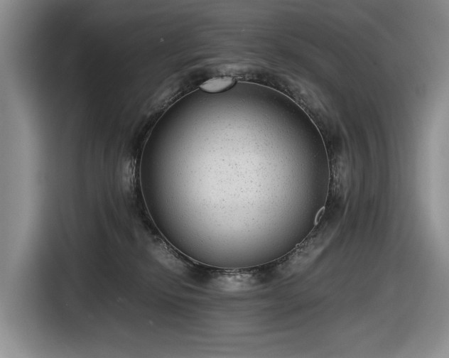 X0000116480278200912161258