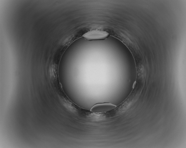 X0000116480280200912161258