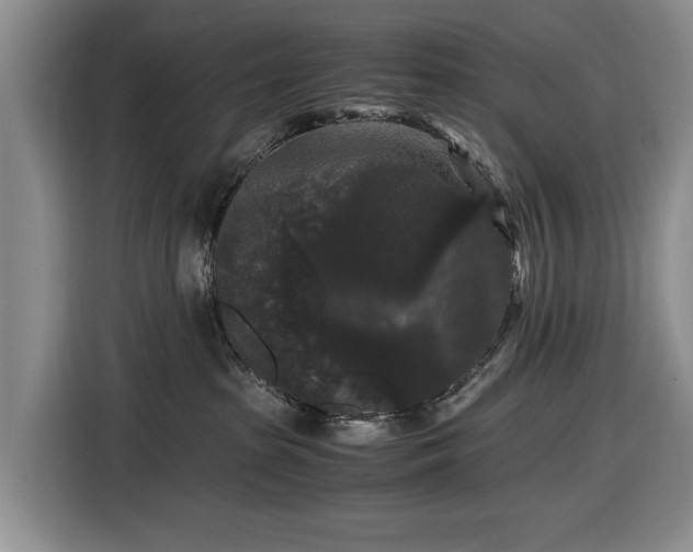 X0000116480285200912161258