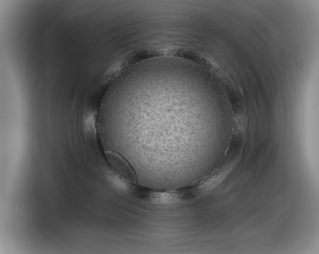 X0000116480286200912161258