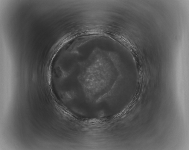 X0000116480290200912161258