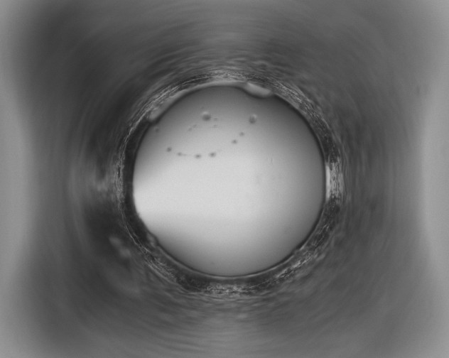 X0000116480291200912161258