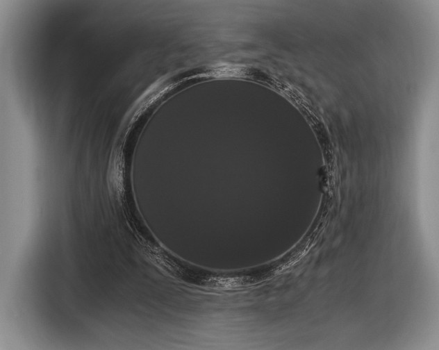 X0000116480295200912161257