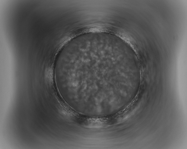 X0000116480297200912161257