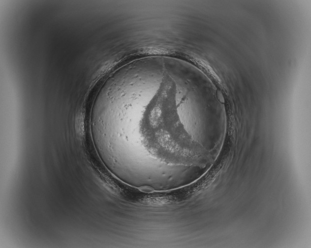 X0000116480299200912161257