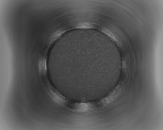 X0000116480302200912161257