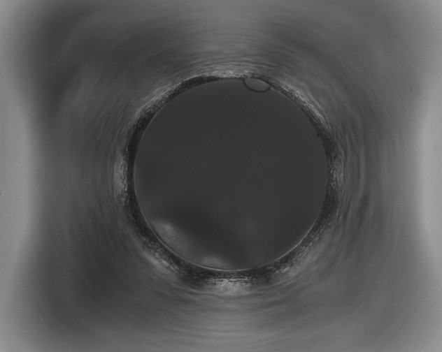 X0000116480303200912161257