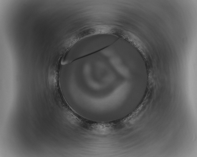 X0000116480305200912161257