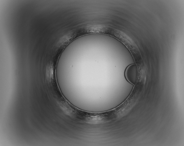 X0000116480310200912161257