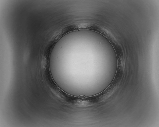 X0000116480311200912161257