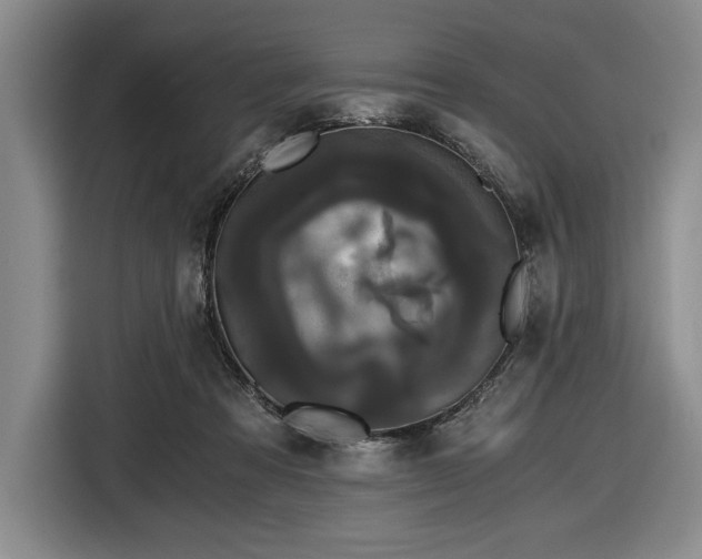 X0000116480313200912161257