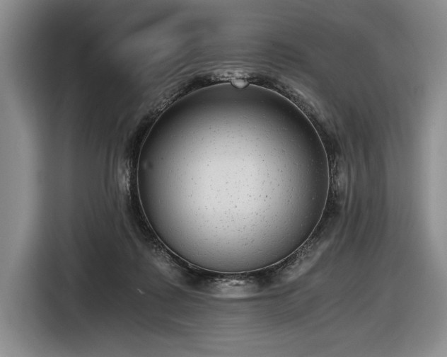 X0000116480315200912161257