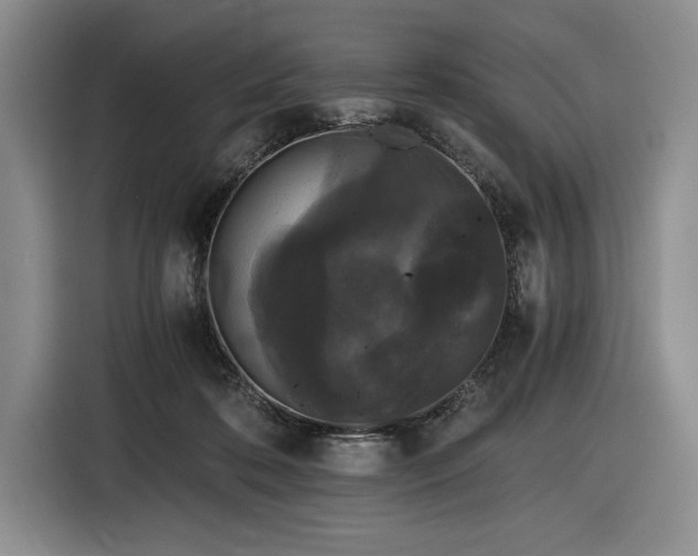 X0000116480316200912161257