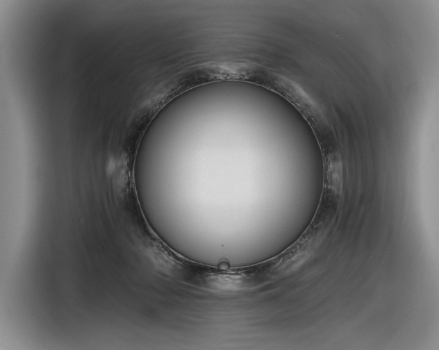 X0000116480318200912161257